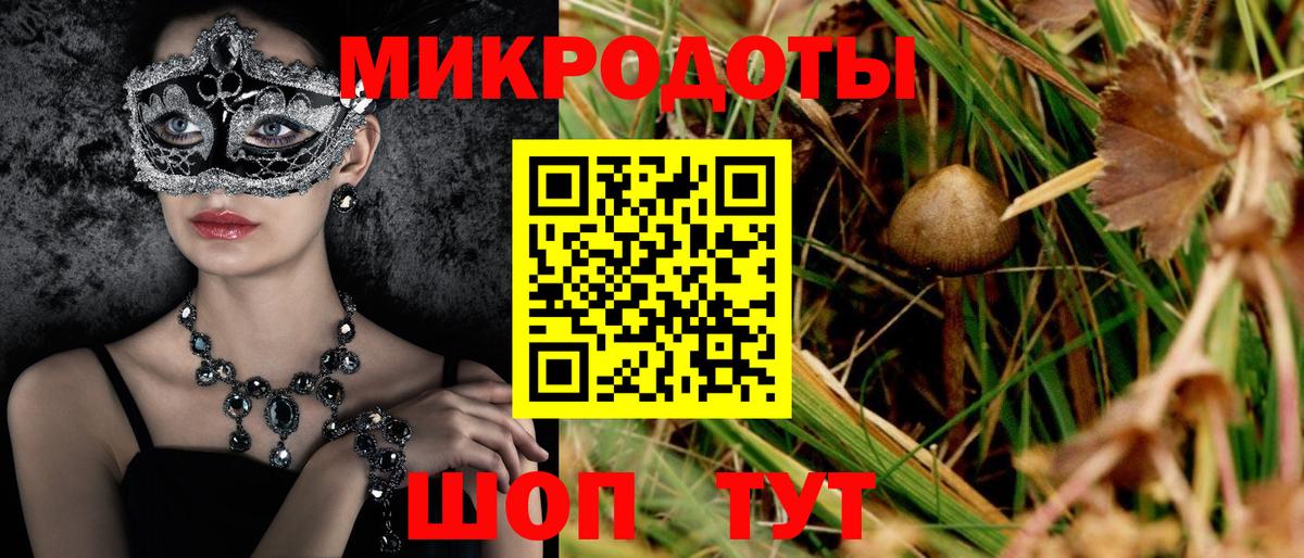 Псилоцибиновые грибы Cubensis Кольчугино