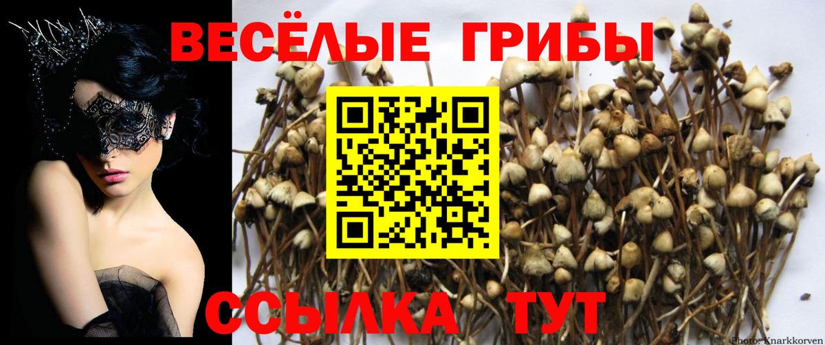 Псилоцибиновые грибы мухоморы  где можно купить наркотик  Кольчугино  Вход с VPN 