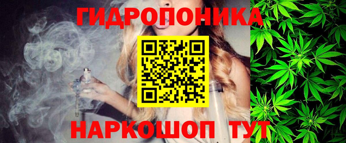 Бошки марихуана тримм Кольчугино
